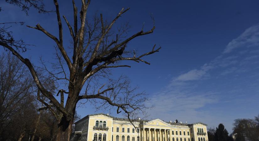 Gyermekbántalmazás gyanúja miatt felfüggesztették a fóti gyermekközpont igazgatóját