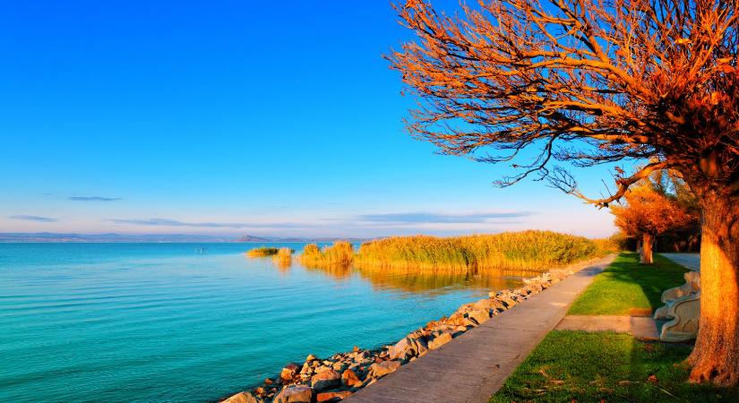 Olyan állatfaj bukkant fel a Balatonnál, aminek semmi keresnivalója sincs ott