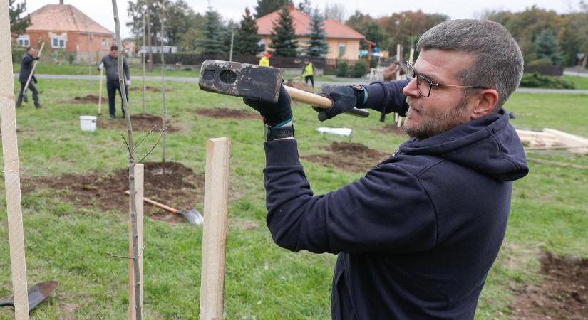 Remény az újrakezdésre: 50 fát ültetettek a csöngei tűzeset emlékére