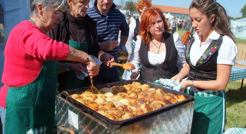 Szellemi kulturális örökség lett a hadházi lapos káposzta