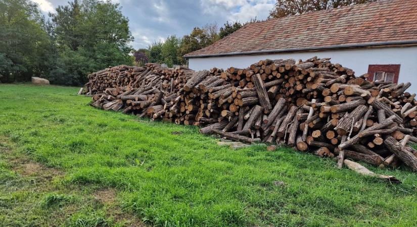 Szociális tűzifa - hétfőig lehet beadni a kérelmet