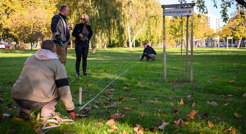 Régi kívánsága teljesül az Újkertben élőknek a kutyafuttató kialakításával – fotókkal