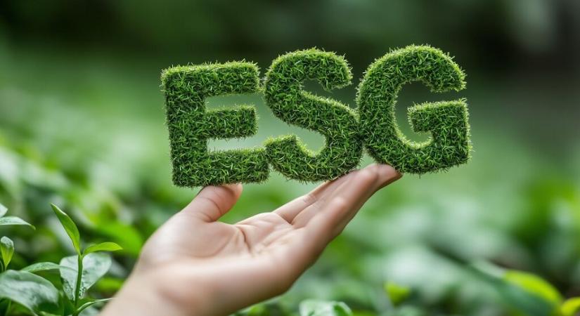 Új vállalati kötelezettségek az ESG-törvényhez kapcsolódóan