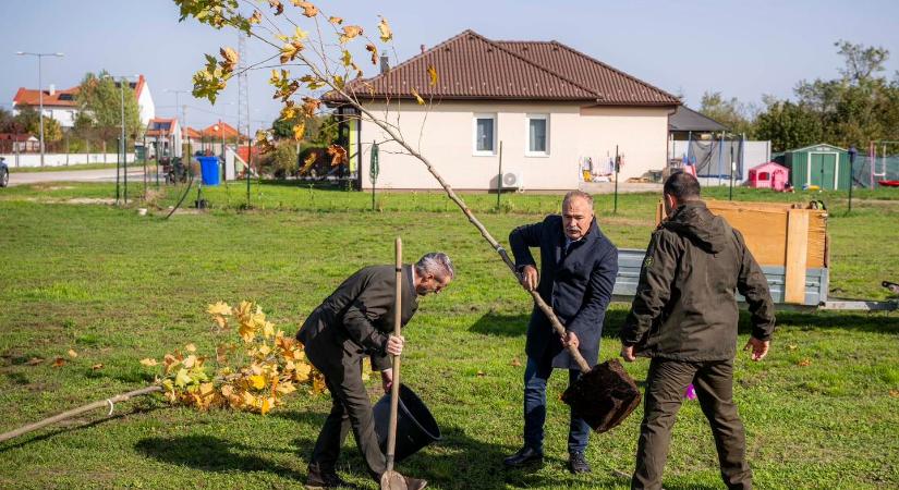 Már kétezer helységbe eljutott a településfásítási program