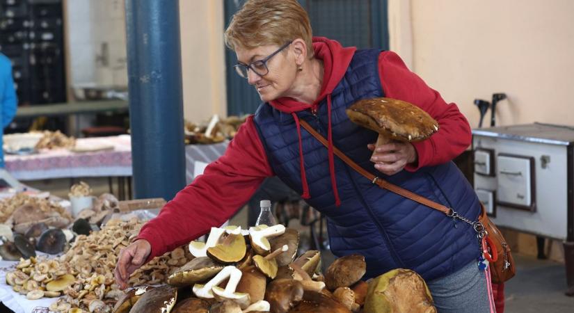 Egészen betökösödött a nagypiac, de csak hűlt helyét találtuk a velős csontnak