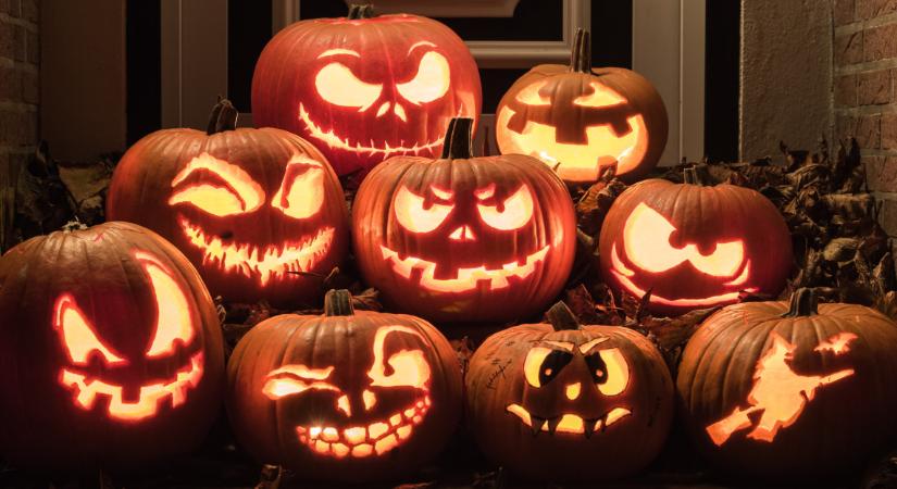 Nagy durranásra készül a debreceni állatkert: íme, a hátborzongató halloween-i programok listája