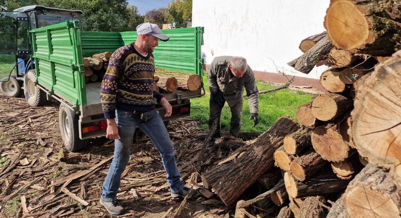 Mezőfalva: Folyamatos a szociális tűzifa kiszállítása