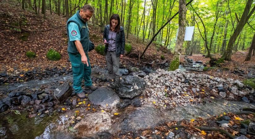 Hihetetlen, de ismét elterelték a mátrai patakot