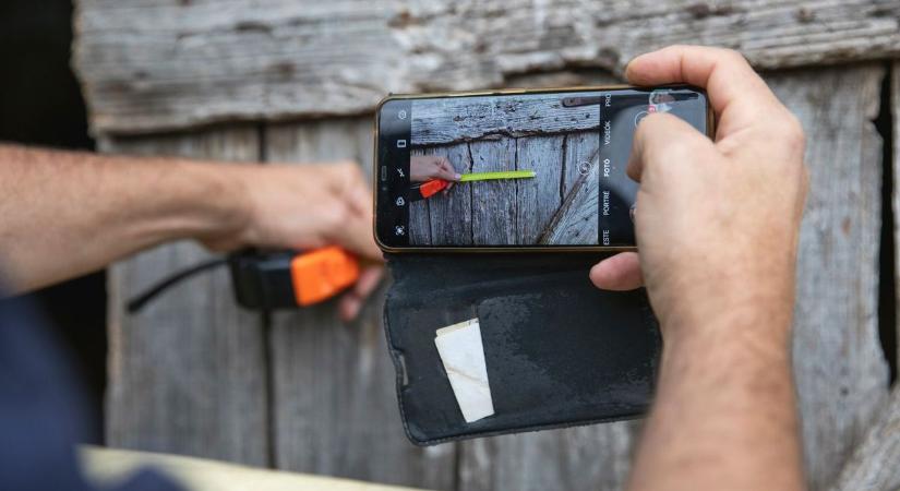 Medve járt a Debrecen melletti tanyán? Szakértővel vizsgáltuk meg a nyomokat – fotókkal, videóval