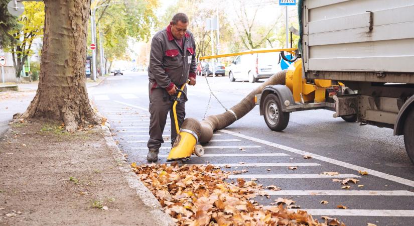 Folyamatosan végzik a lombgyűjtést Győrben