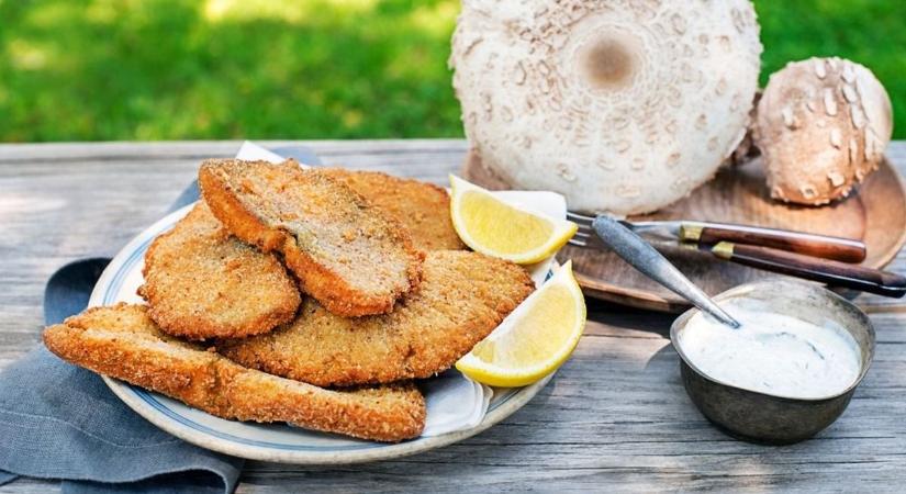 Őzlábgomba rántva: a tökéletes és olcsó hétvégi recept