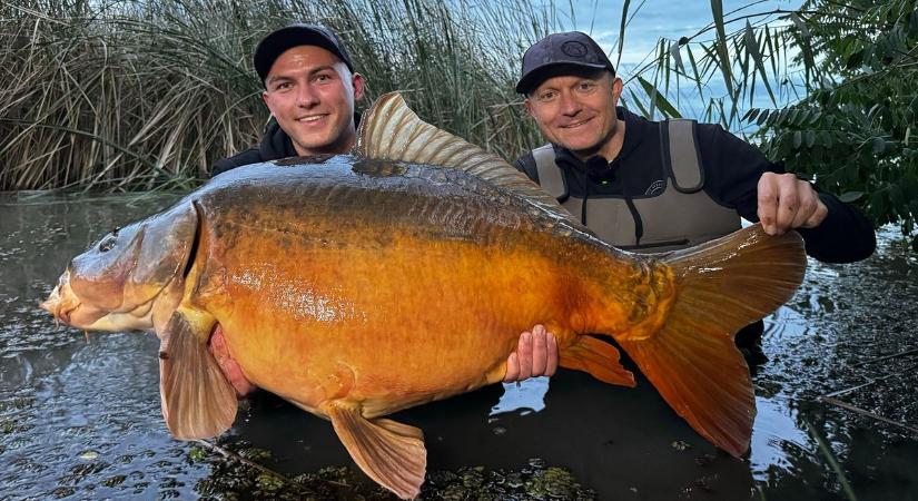 Nagypontyokat fogtak nagy mennyiségben a Tisza-tavon