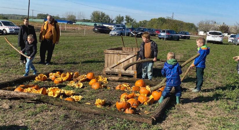 Halloweeni tökből épült játszótér várta a családokat Helvécián – galériával, videóval