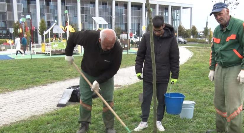 Tovább szépül a Kanizsa Aréna környezete