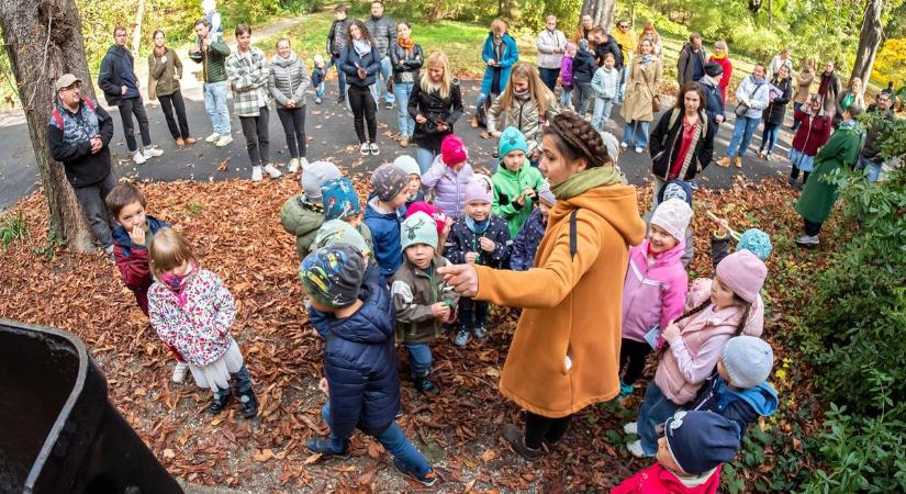 Fészekalja zenés mesesorozat a Ligneumban – Fotók, videó