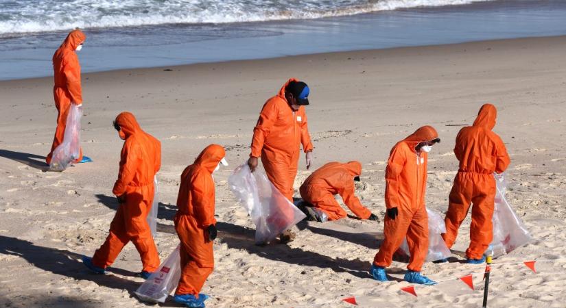 Több ezernyi rejtélyes kátrányszerű golyó sodródott partra Sydney strandjainál