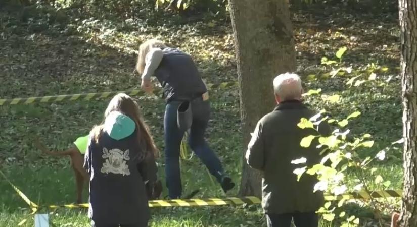 Huszonkét kutya és gazdája vett részt a 6. Szarvasgomba Fesztiválon  videó