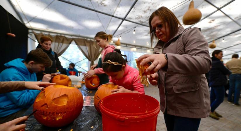 Tökökkel telt meg a Füvészkert – galériával, videóval