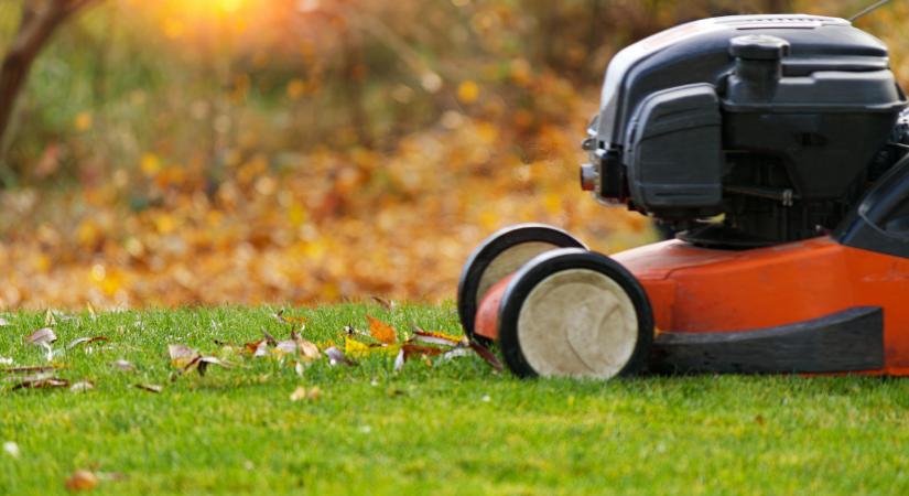 Ezt sok kerttulajdonos elrontja ősszel, pedig ezen múlhat a gyep sorsa