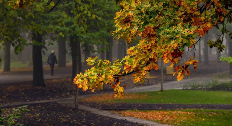 Érkeznek a csípős hajnalok, fagypont alá hűlhet a levegő