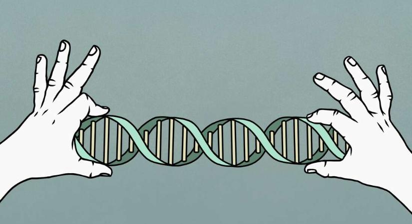 DNS: nemcsak a származásunk, de a nekünk való étrend és sportág is kiderül belőle