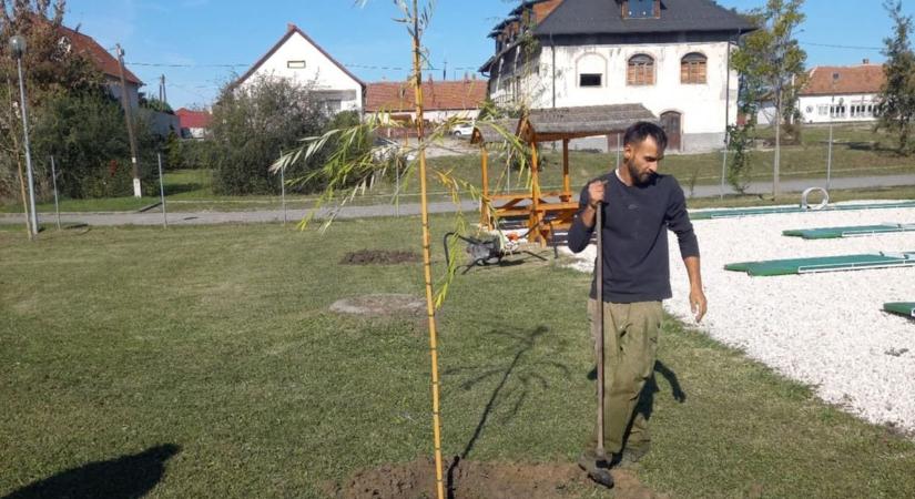 Huszonöt facsemetét ültettek el az Ökocentrumban