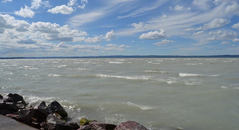 Már a Balatonnál vannak Európa legnagyobb rágcsálói