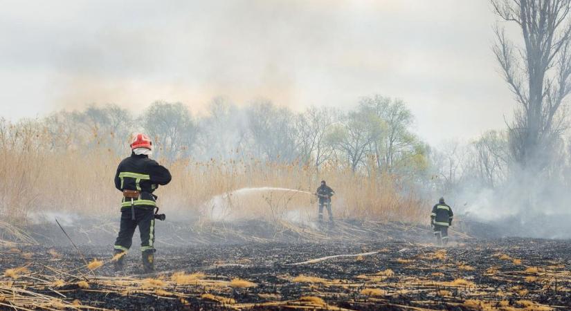 Hivatásos és önkéntes tűzoltók együtt fékezték meg a lángokat