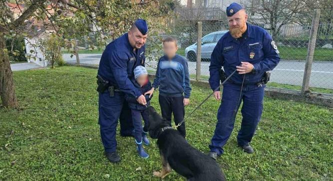 Pánik Zalaegerszegen: elvesztette két unokáját a nagyi