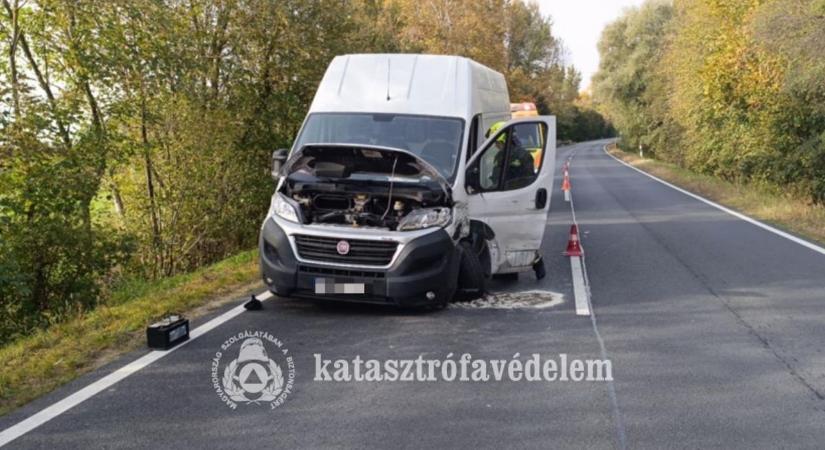 Balesethez, fakidőléshez és hulladéktűzhöz kaptak riasztást a tűzoltók Vas vármegyében