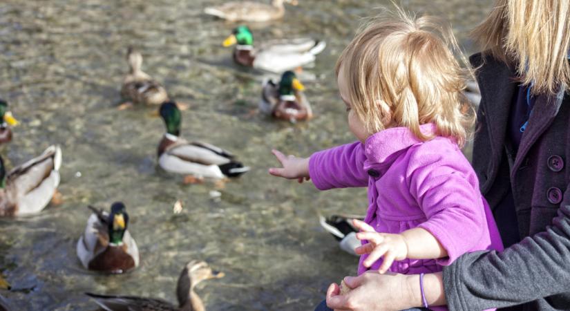 Óriási hibát követ el, aki ezt teszi: hiába akarunk segíteni rajtuk, ártunk nekik!