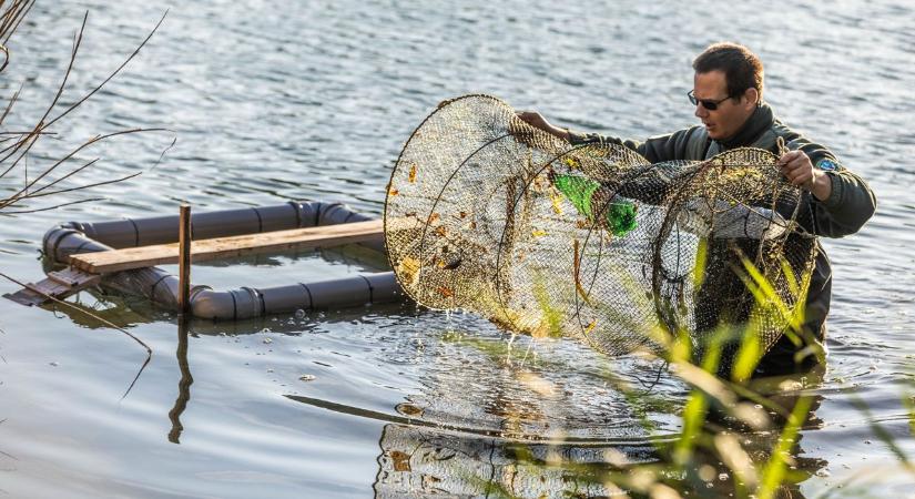 Közel hatvan teknőst fogtak a Csónakázó-tóban