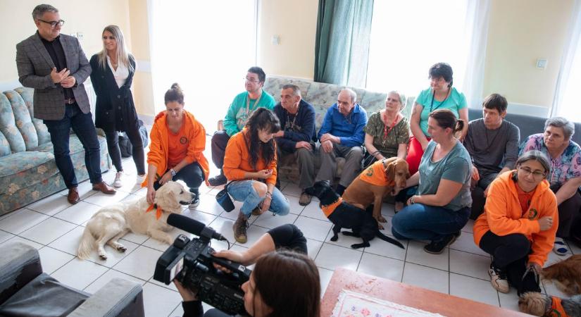 Terápiás kutyák vizsgáztak sikeresen Zalaegerszegen – fotógaléria és videó