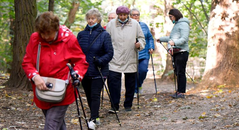 Miért van szükségünk szoros barátságokra idős korban? – A magány ellenszere