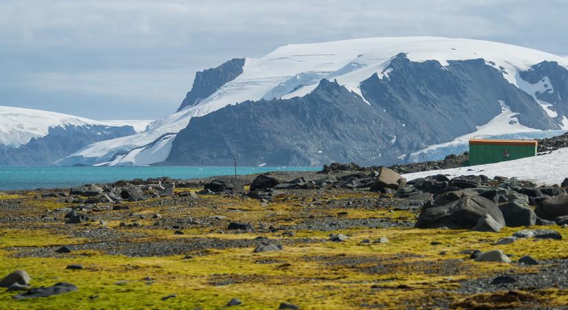 Rohamtempóban zöldül a Föld jeges kontinense