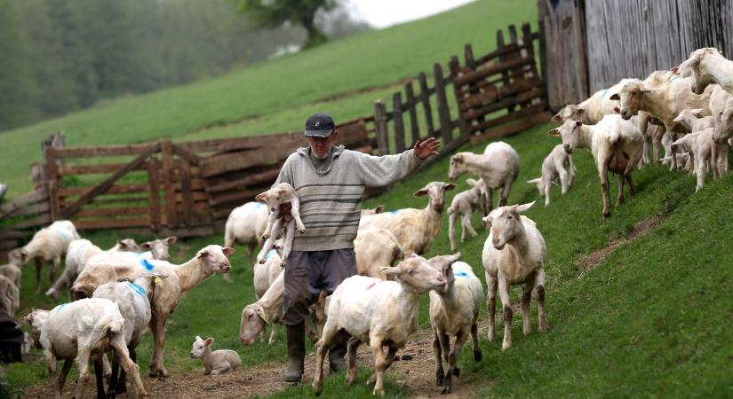 Kihúzza a gazdák lába alól a talajt a németek új terve