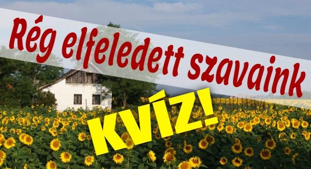 Retró kvíz: 10 régi falusi szó. Vajon tudod melyik mit jelent?