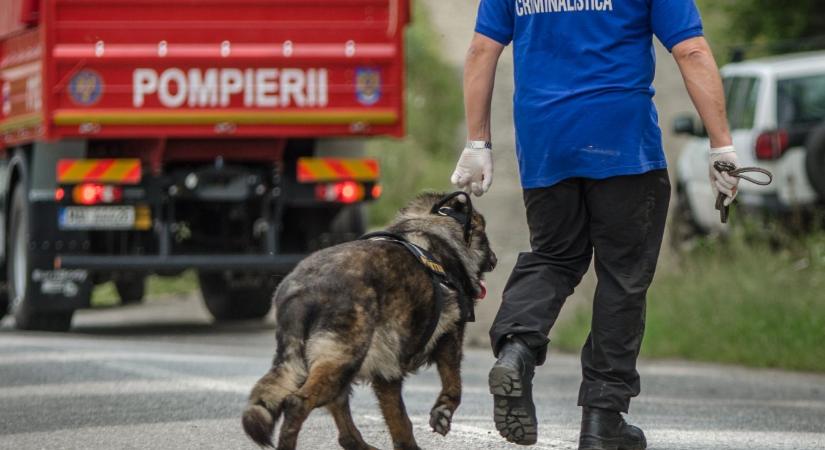 Kiránduláson veszett nyoma egy kisfiúnak, nagy erőkkel keresik