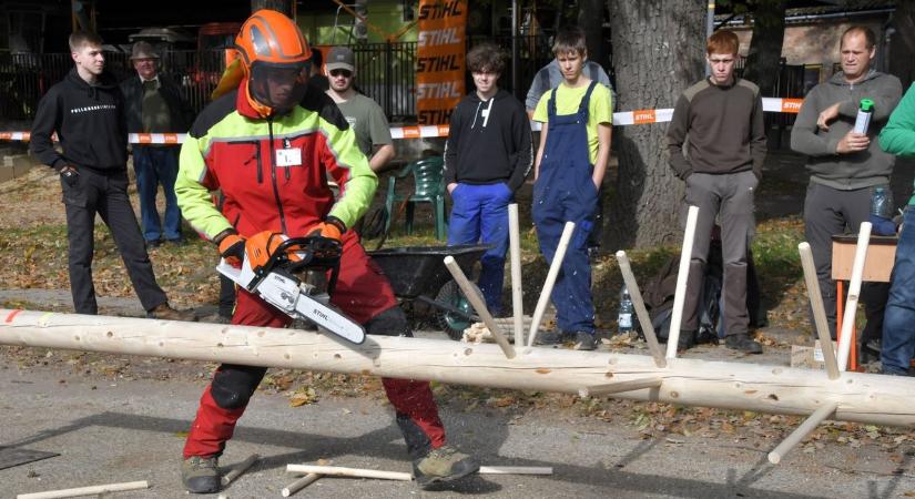 Különdíjakat és dobogós helyezést zsebeltek be a mátrafüredi erdésztanulók