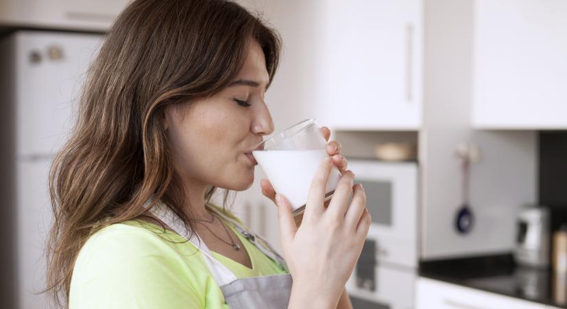 Ezért ne igyál tejet antibiotikumkúra alatt