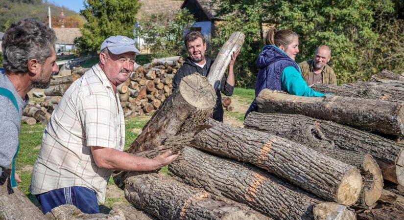 A szociális tűzifa nélkül sokan lennének nehéz helyzetben