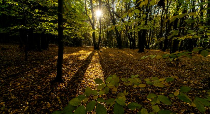 Folytatódik a kellemes, őszi idő az utolsó októberi hétvégén is