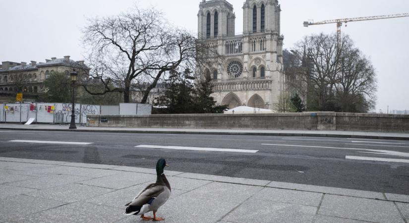 A francia kormány belépőt szedne a Notre-Dame-ba, a katolikus egyháznak nem tetszik az ötlet