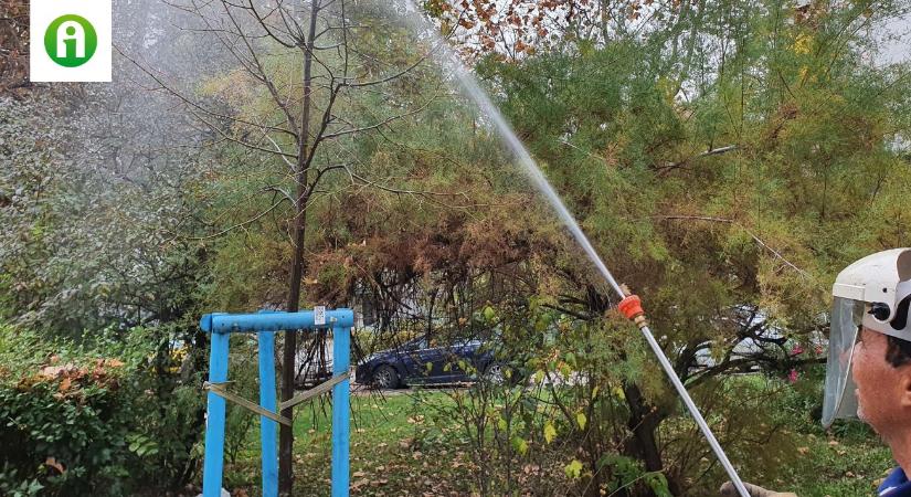 Felelős döntés: ezért ne maradjon el az őszi lemosó permetezés