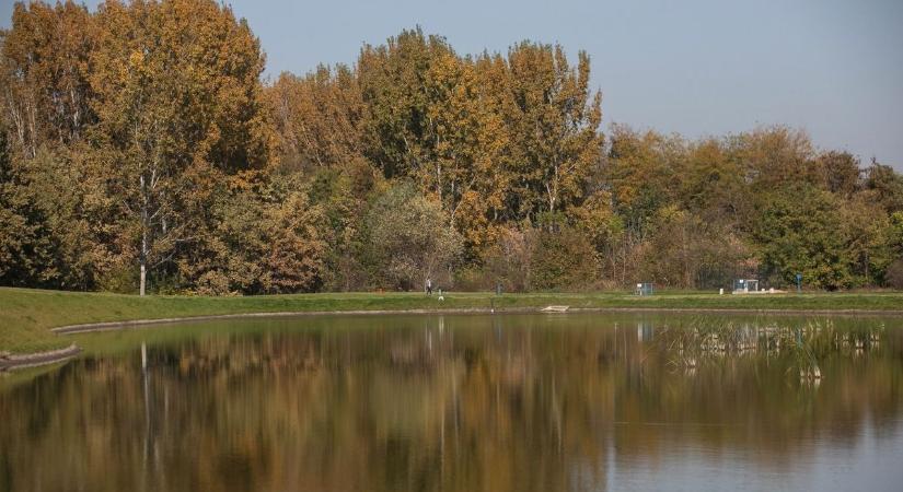 Még idén elkezdik felmérni Debrecen környezetének állapotát