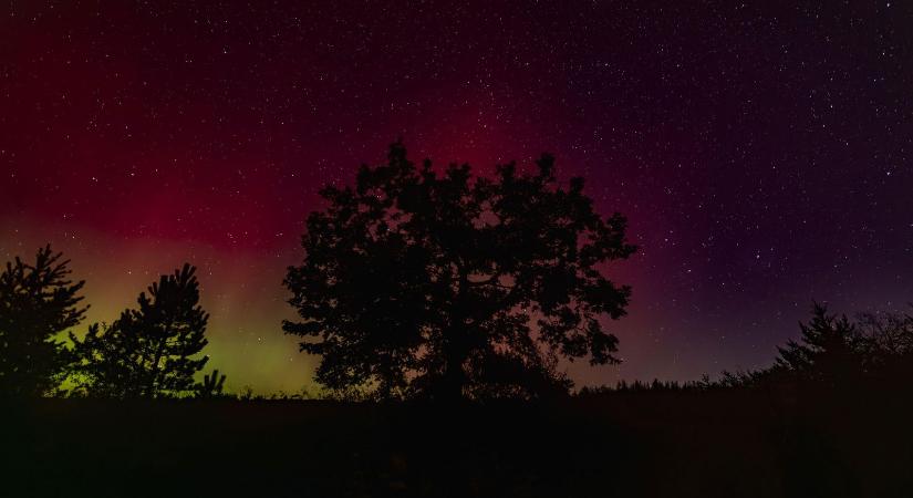 Sarki fénynek hitte a paradicsom feldolgozó lámpáit, büszkén mutogatta a közösségi médiában