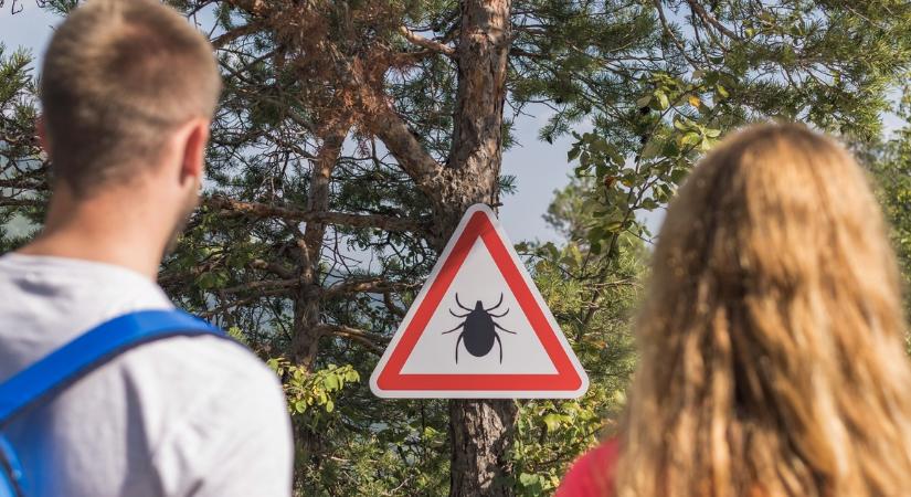 Most jött a nagy súlyú hír: a kullancsokról van szó