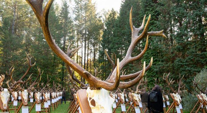 A vadászat a környezetvédelem és a biodiverzitás megőrzésének egyik eszköze