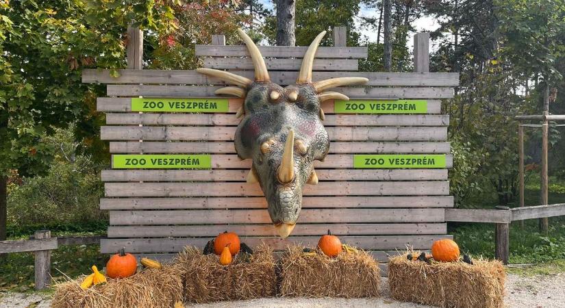 Halloween a Veszprémi Állatkertben (videó)