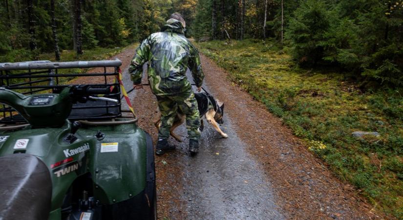 Bedőlhetett Várpalota a diákcsínynek: bírósági ügy lehet a tinik eltűnéséből